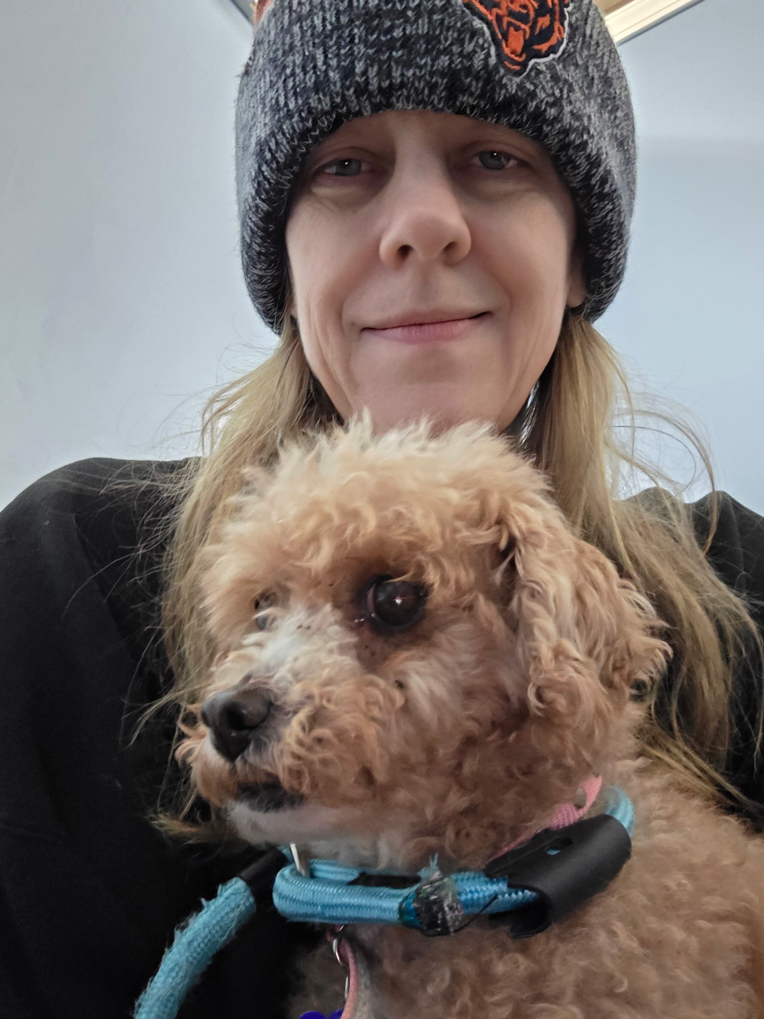 A volunteer holding an apricot Toy Poodle at Wags 2 Wishes Animal Rescue in Minooka IL, showing the bond between shelter dogs and their caregivers